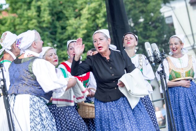 Dieťa - radosť i starosť: program folklór. súborov hornej Nitry Sielnica, Lazany ©Karol Kobella